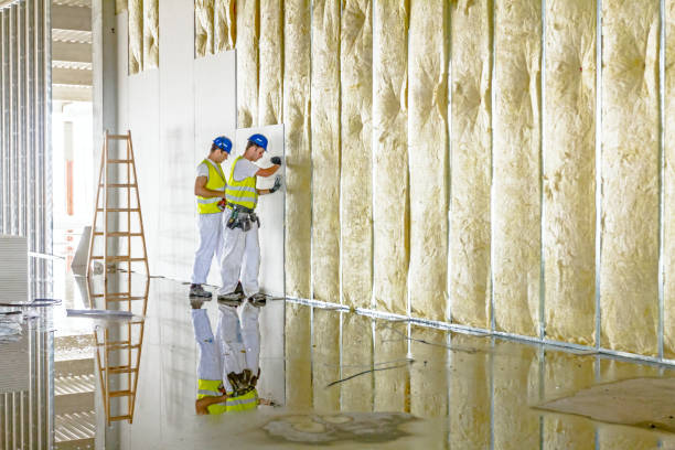 Best Attic Insulation Installation  in Rawls Springs, MS